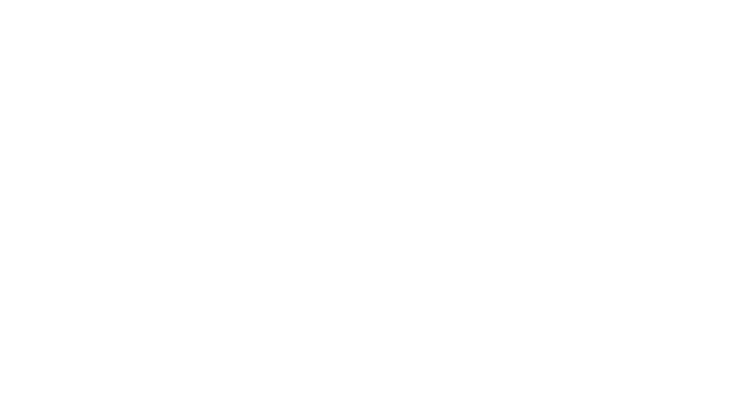 McDonald Selznick Associates
